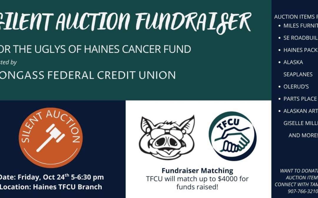 Auction Fundraiser