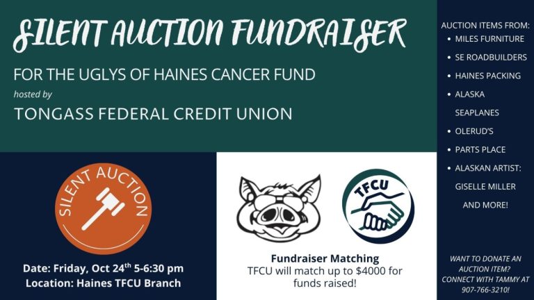 Auction Fundraiser
