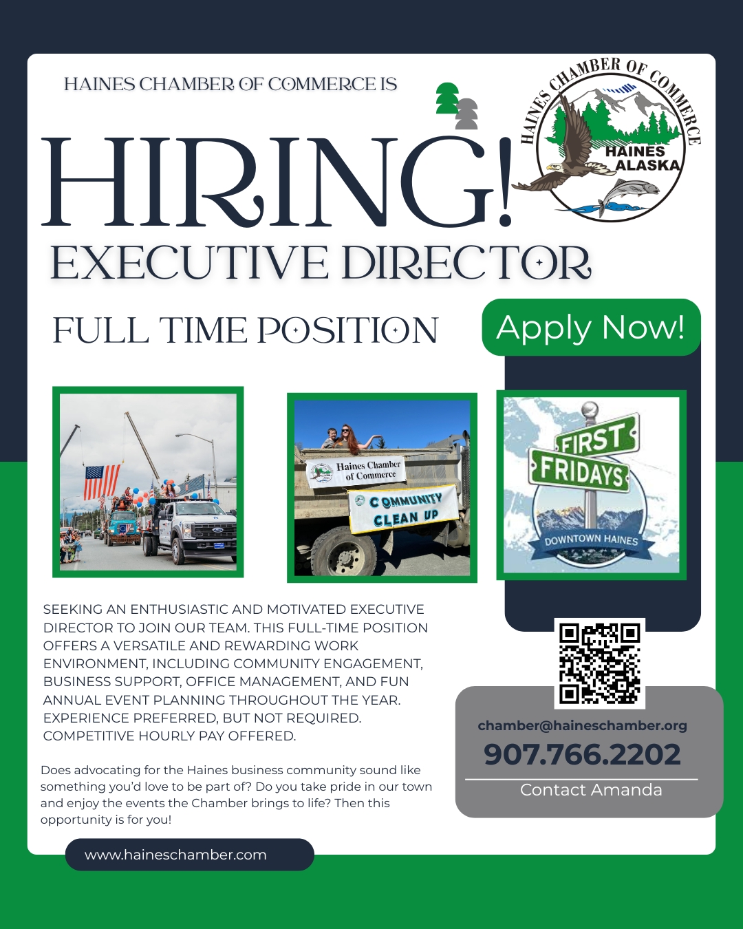 Director Hire flyer